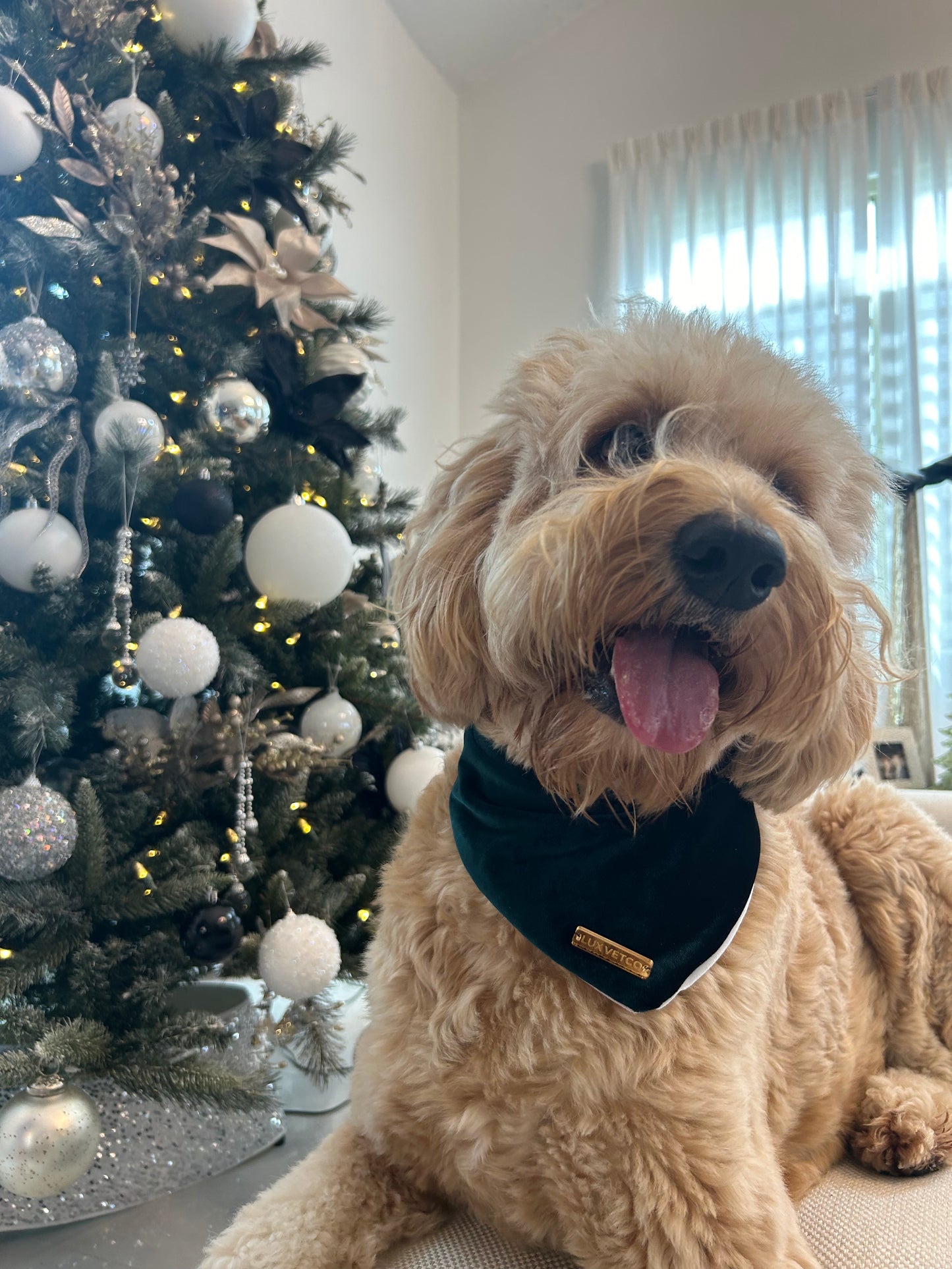 Hunter Green Velvet Christmas Bandana