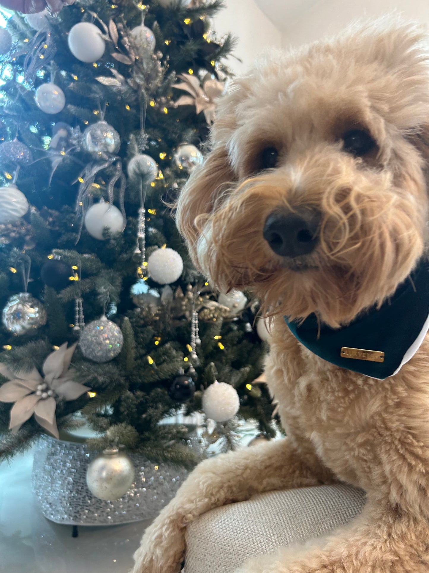 Hunter Green Velvet Christmas Bandana