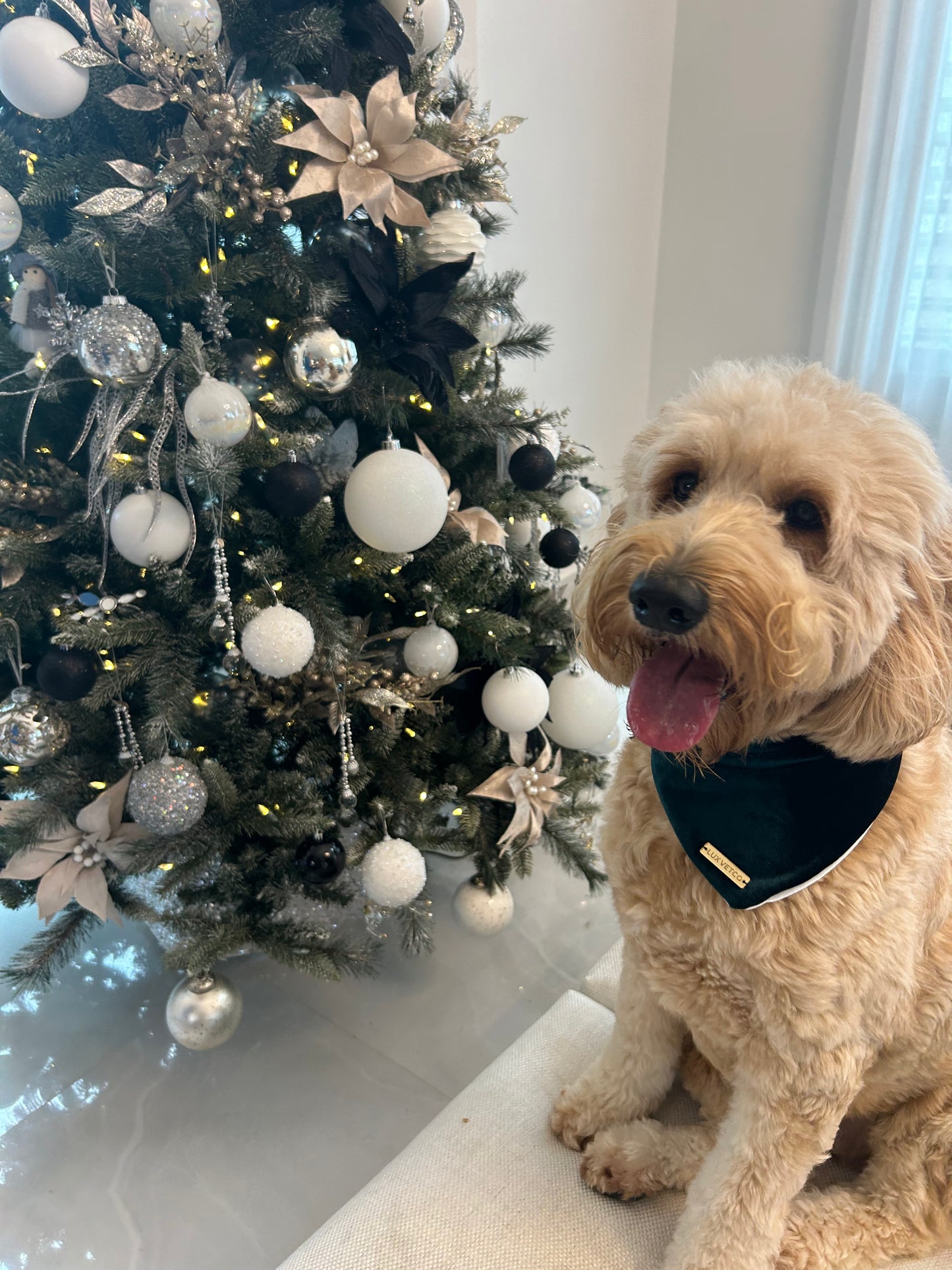 Hunter Green Velvet Christmas Bandana